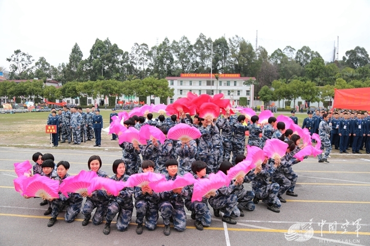 平凡却不简单的香樟树，为何不能随意砍伐？了解它的价值避免误伤 